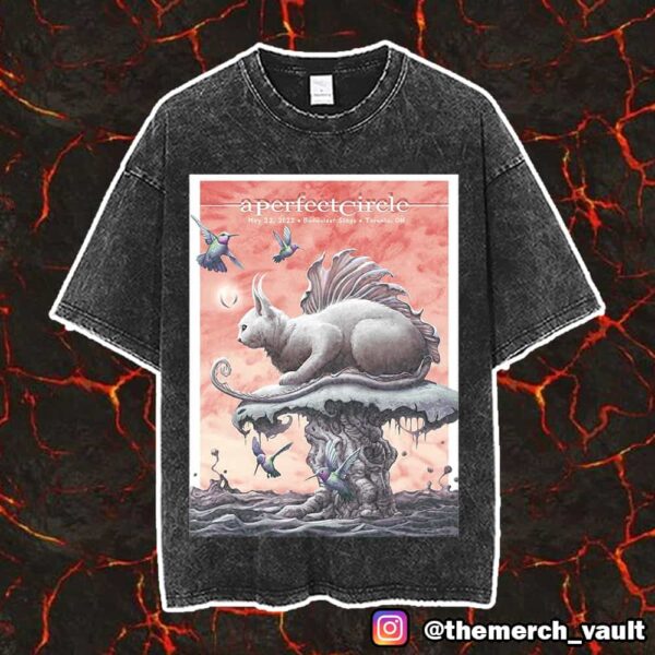 A Perfect Circle Poster Show May 22 2025 At Budweiser Stage Toronto ON Artwork Design By Ron Ransom Vintage Washed Unisex T-Shirt